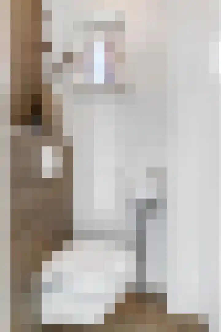 Adriaan van Ostadestraat 12 Tiel thumbnail 8