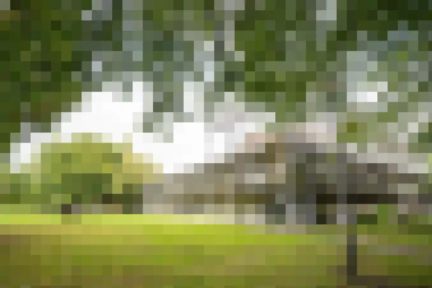 Adriaan van Ostadestraat 125 Groningen thumbnail 23