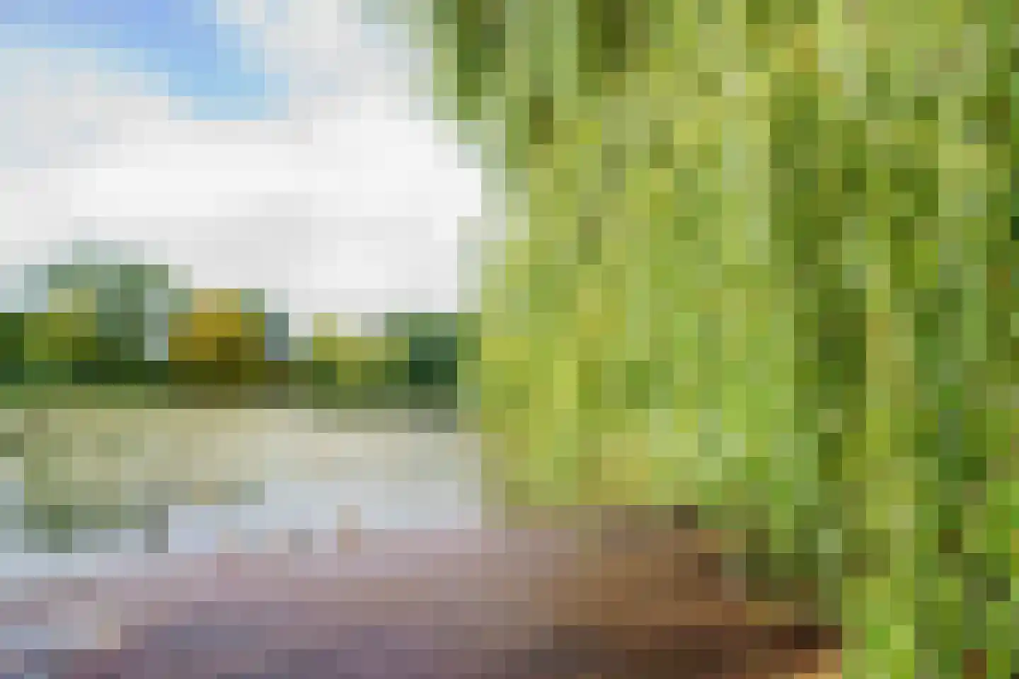 Adriaan van Ostadestraat 125 Groningen thumbnail 25