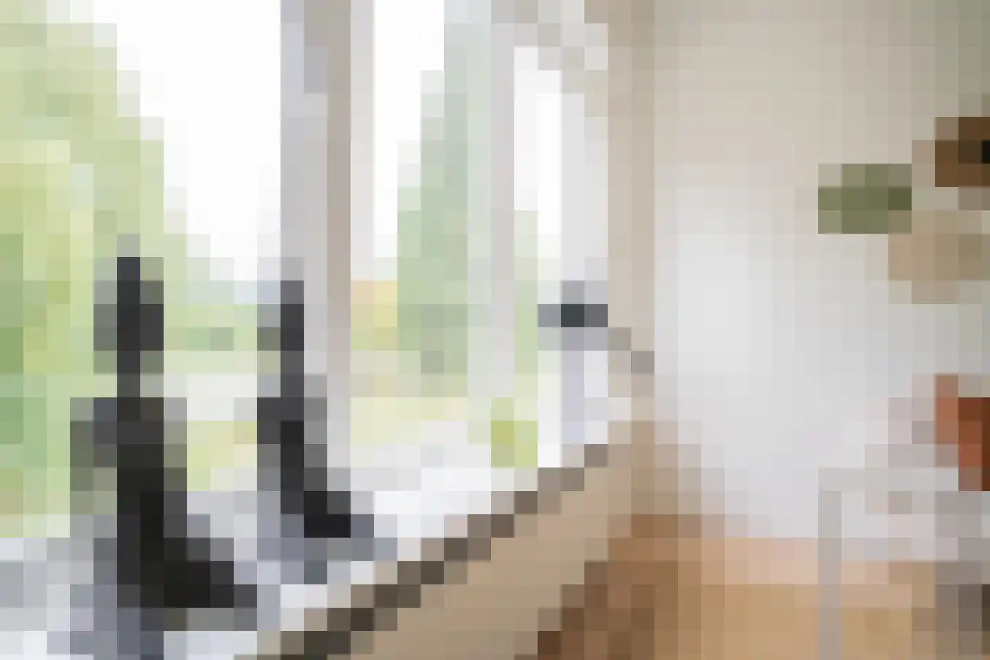 Adriaan van Ostadestraat 125 Groningen thumbnail 7