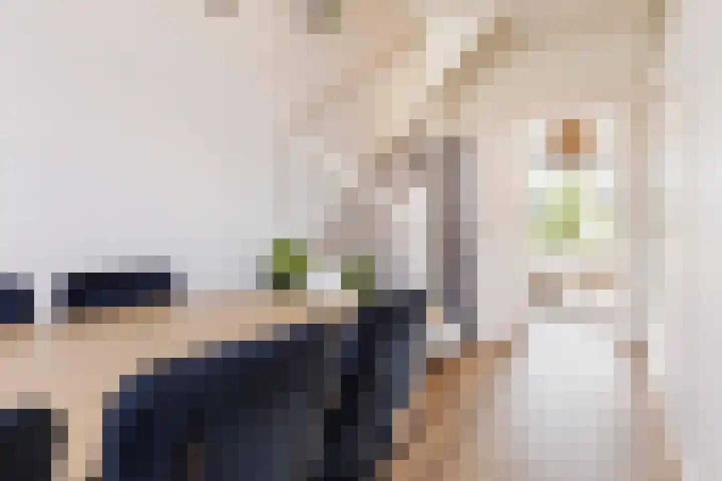 Adriaan van Ostadestraat 141 Groningen thumbnail 16