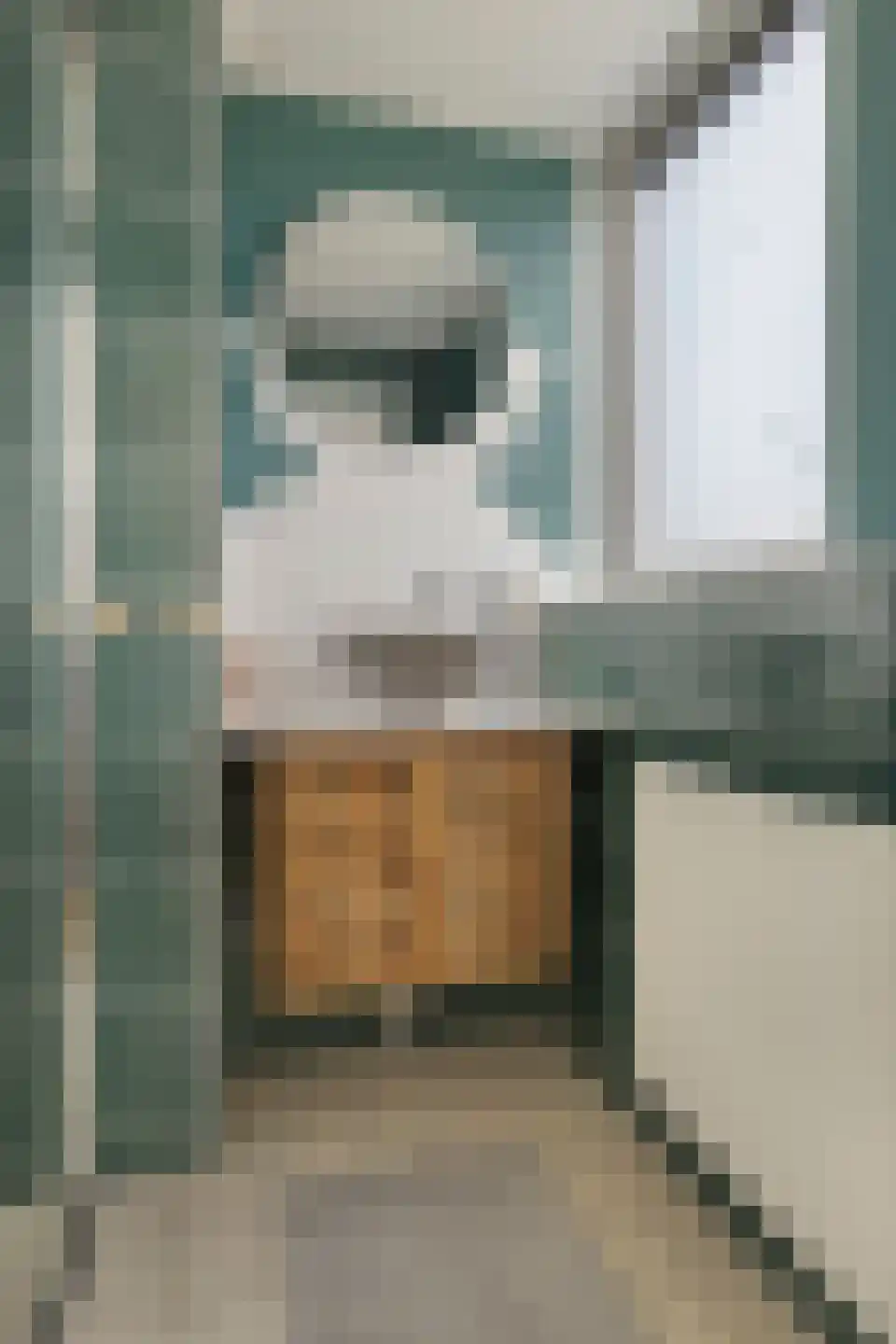 Adriaan van Ostadestraat 141 Groningen thumbnail 29
