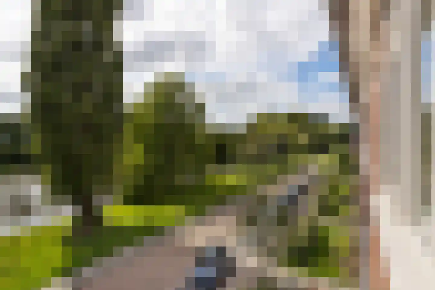 Adriaan van Ostadestraat 141 Groningen thumbnail 37