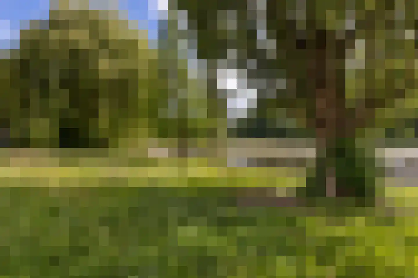Adriaan van Ostadestraat 141 Groningen thumbnail 40