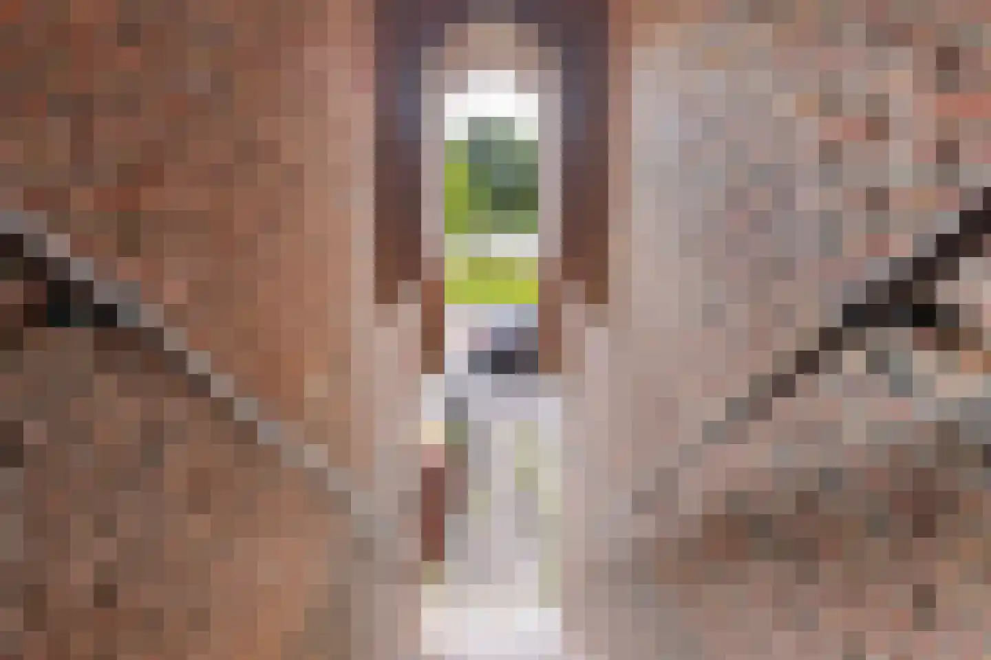 Adriaan van Ostadestraat 141 Groningen thumbnail 5