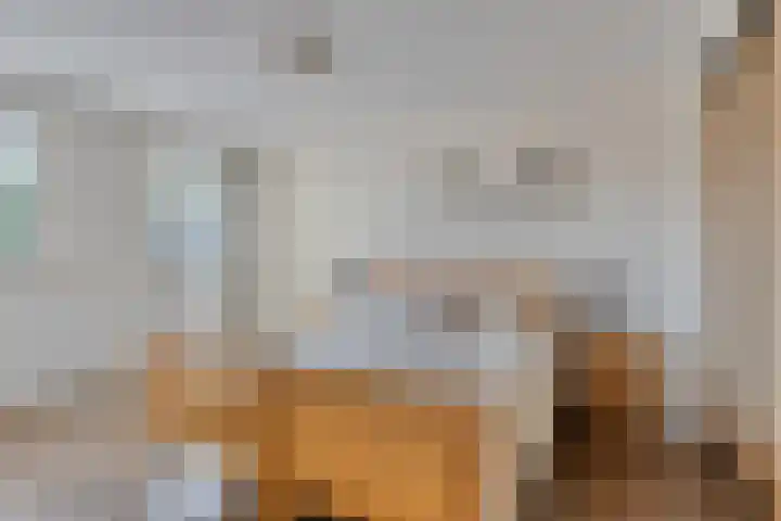 Adriaan van Ostadestraat 16 Haaksbergen thumbnail 23
