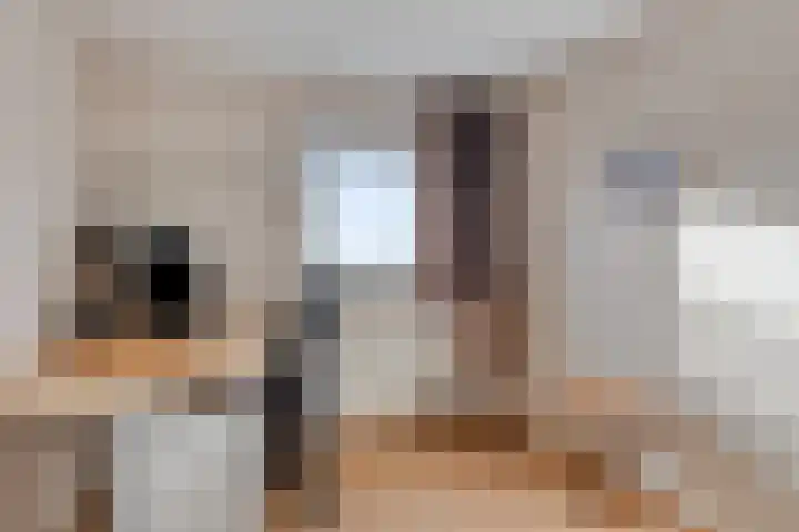 Adriaan van Ostadestraat 16 Haaksbergen thumbnail 35