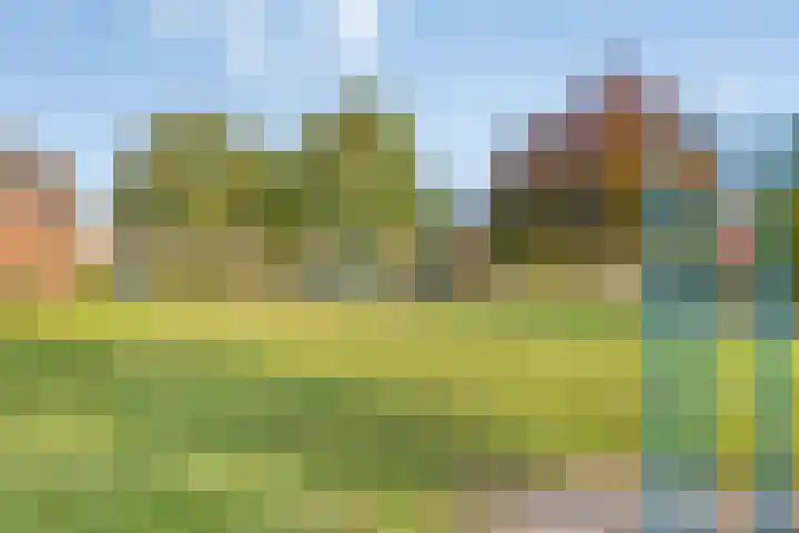 Adriaan van Ostadestraat 16 Haaksbergen thumbnail 42