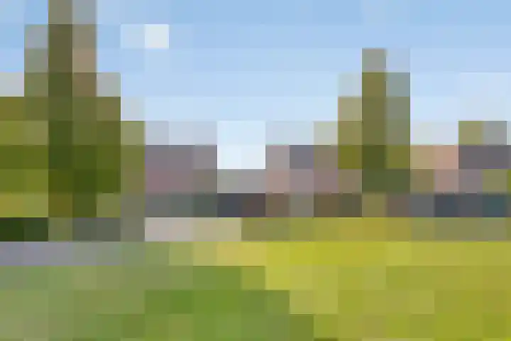 Adriaan van Ostadestraat 16 Haaksbergen thumbnail 43