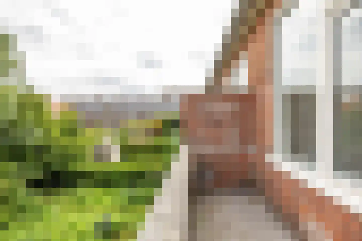 Adriaan van Ostadestraat 165 Groningen thumbnail 23