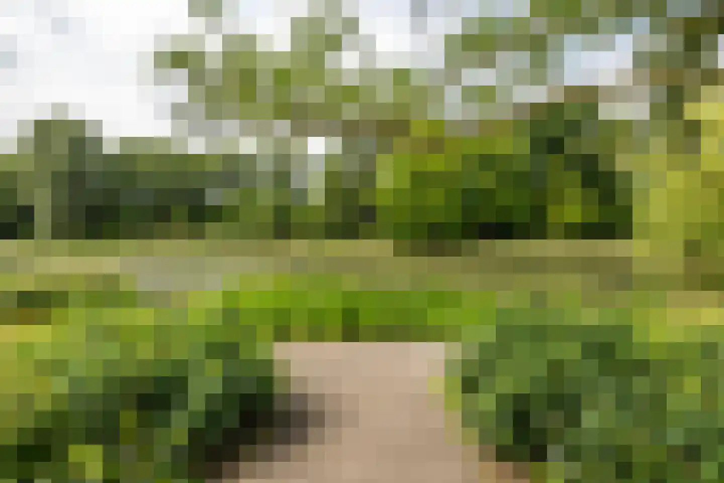 Adriaan van Ostadestraat 165 Groningen thumbnail 8