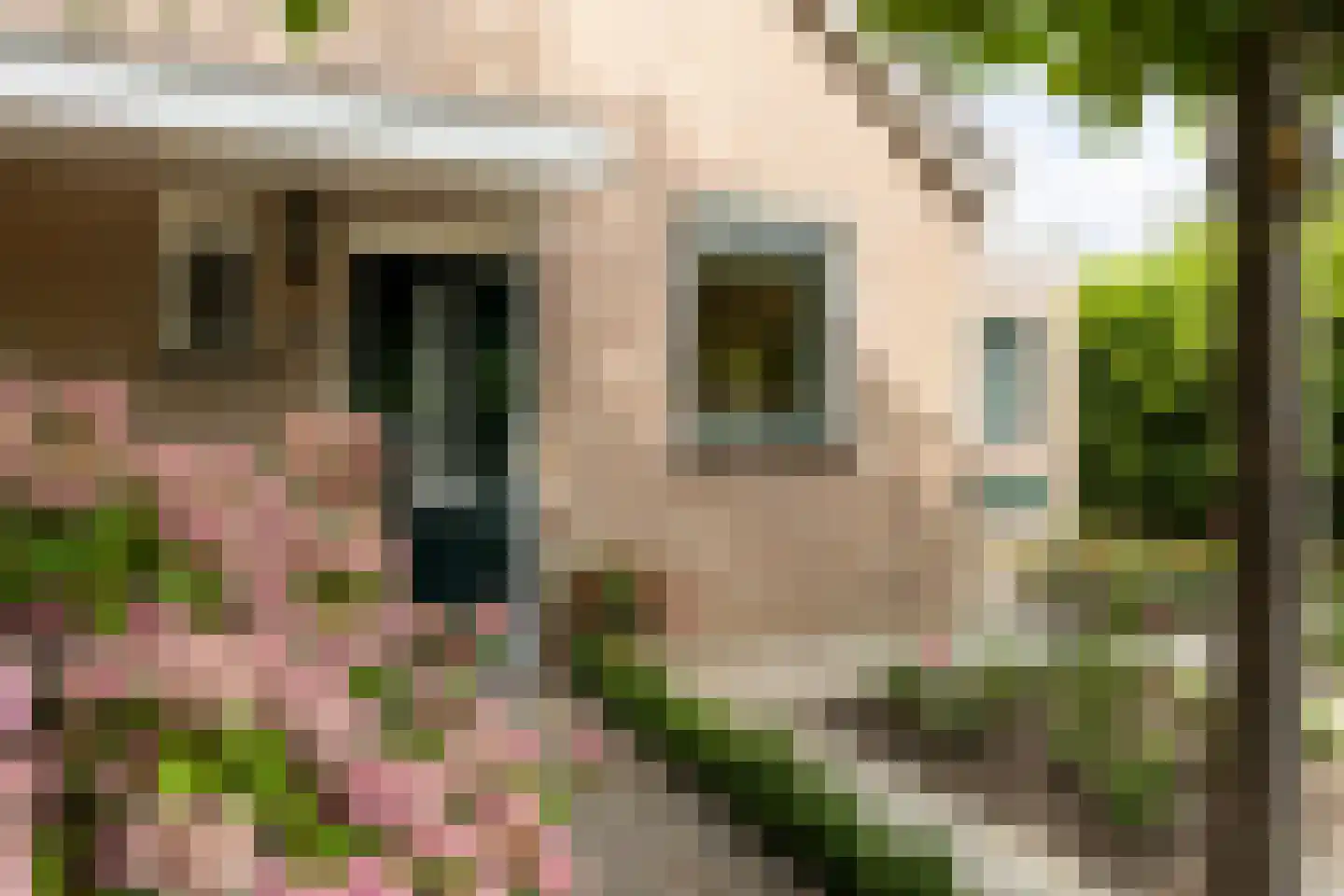 Adriaan van Ostadestraat 17 Tiel thumbnail 12