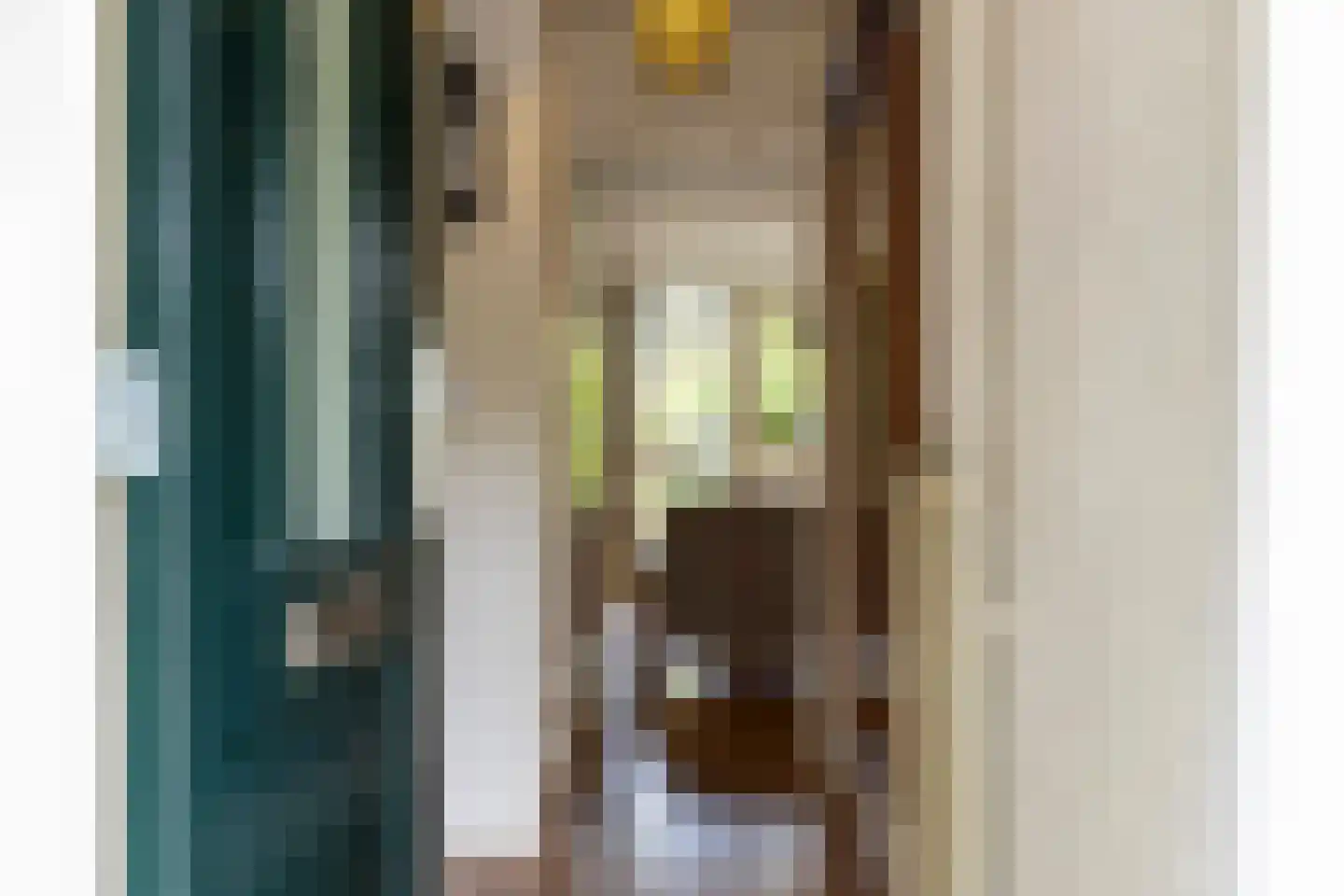 Adriaan van Ostadestraat 17 Tiel thumbnail 13
