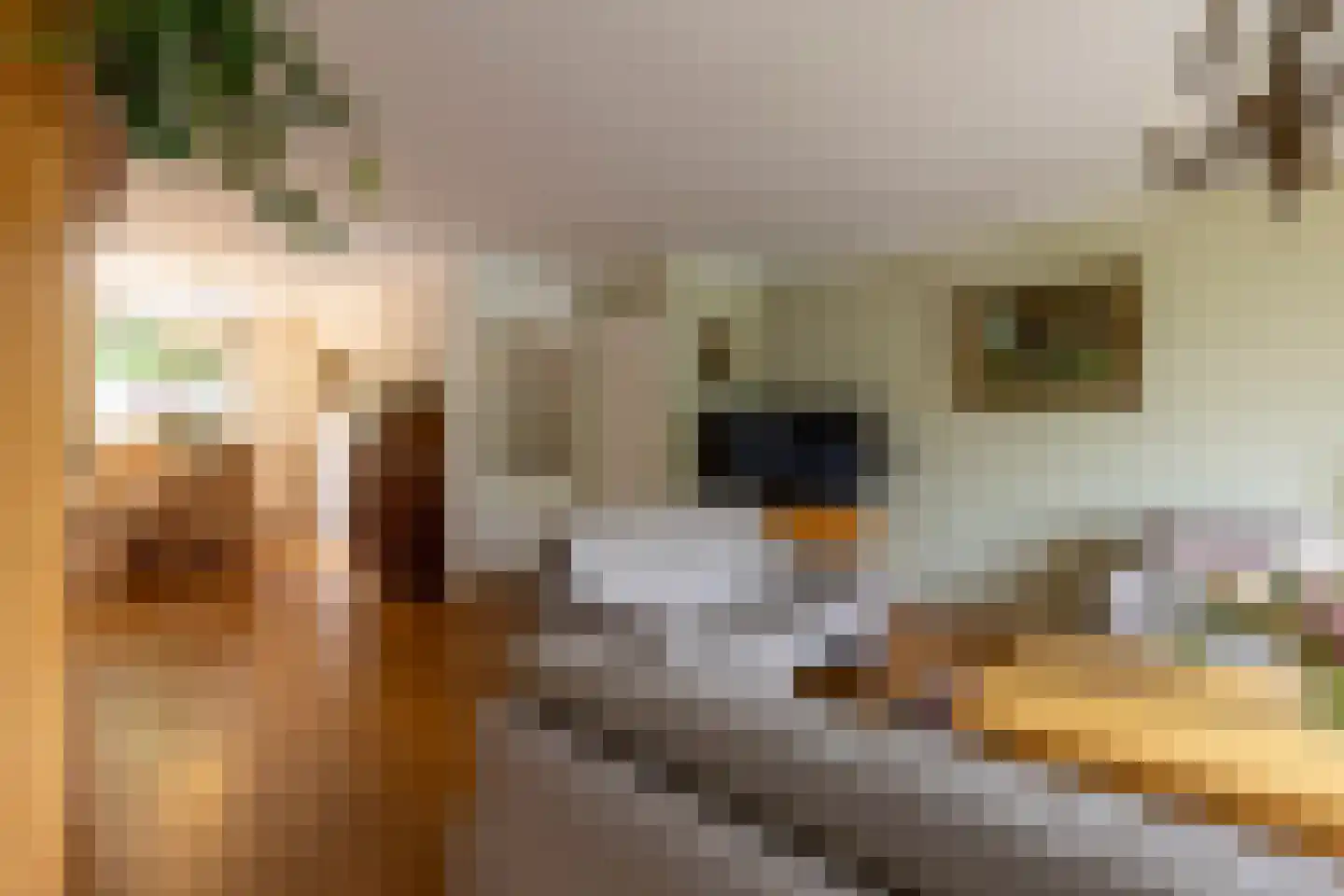 Adriaan van Ostadestraat 17 Tiel thumbnail 16