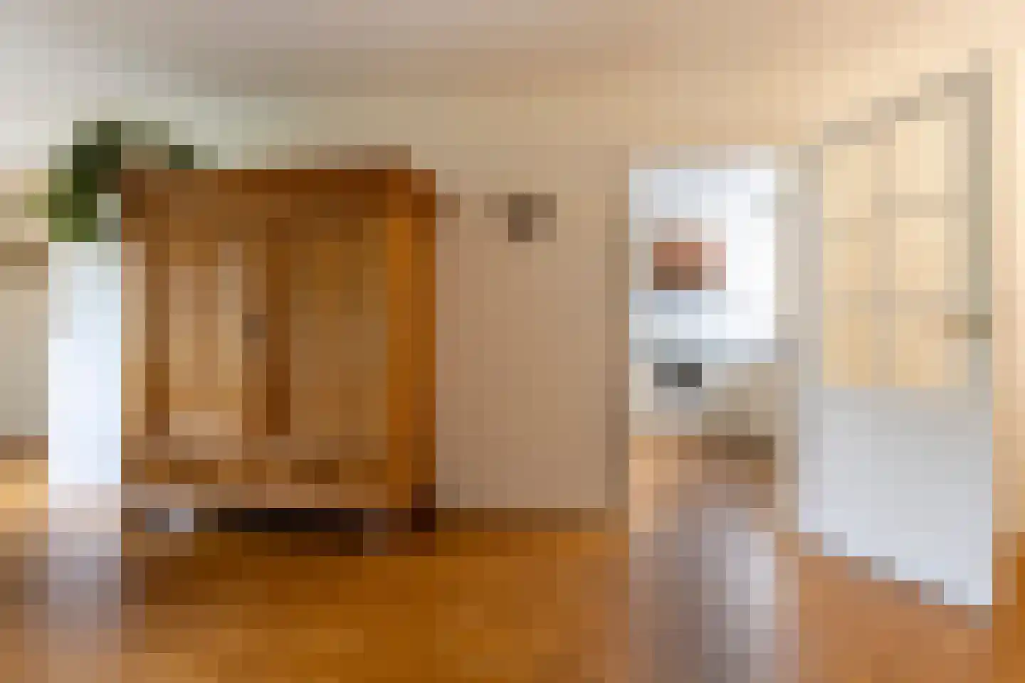 Adriaan van Ostadestraat 17 Tiel thumbnail 20