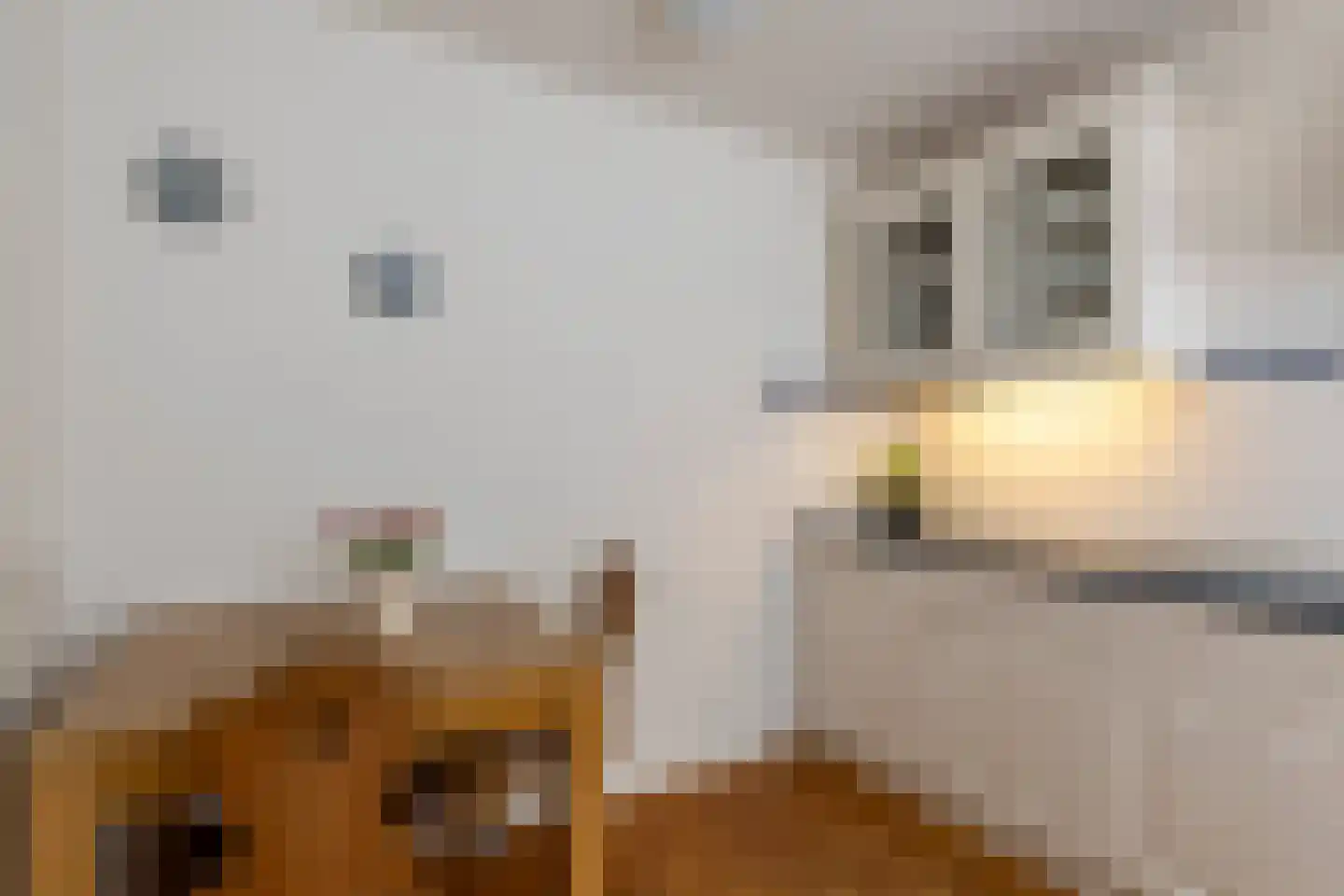 Adriaan van Ostadestraat 17 Tiel thumbnail 23