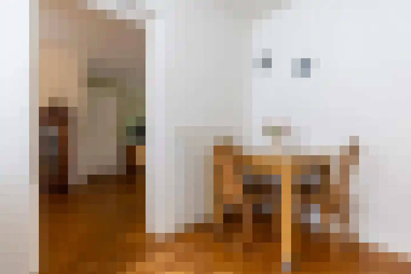 Adriaan van Ostadestraat 17 Tiel thumbnail 25