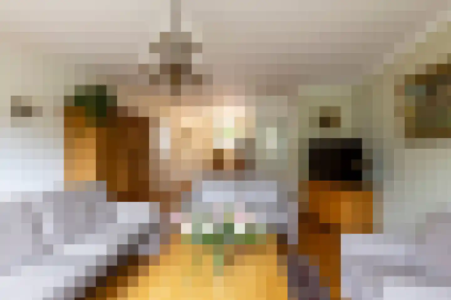 Adriaan van Ostadestraat 17 Tiel thumbnail 26