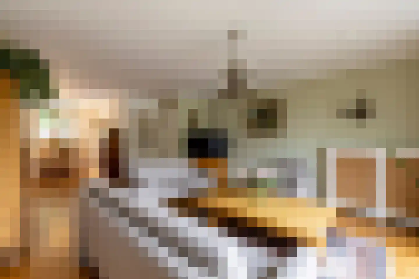 Adriaan van Ostadestraat 17 Tiel thumbnail 27