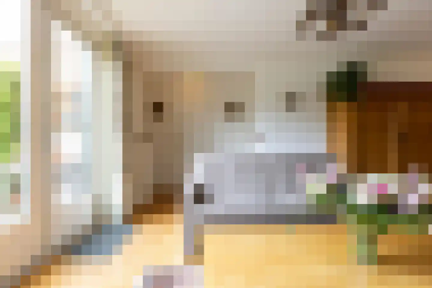 Adriaan van Ostadestraat 17 Tiel thumbnail 30