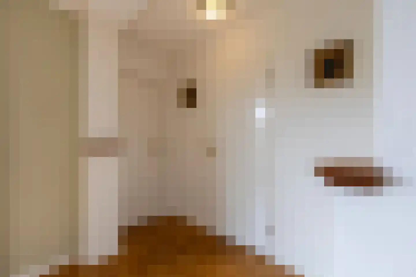Adriaan van Ostadestraat 17 Tiel thumbnail 31
