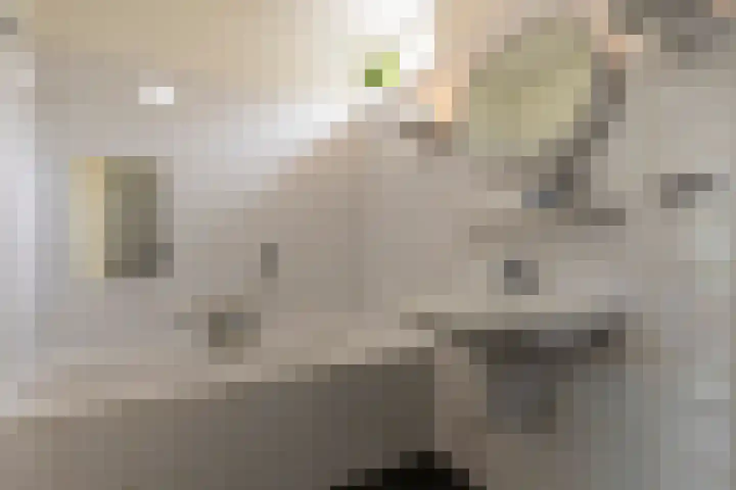Adriaan van Ostadestraat 17 Tiel thumbnail 35