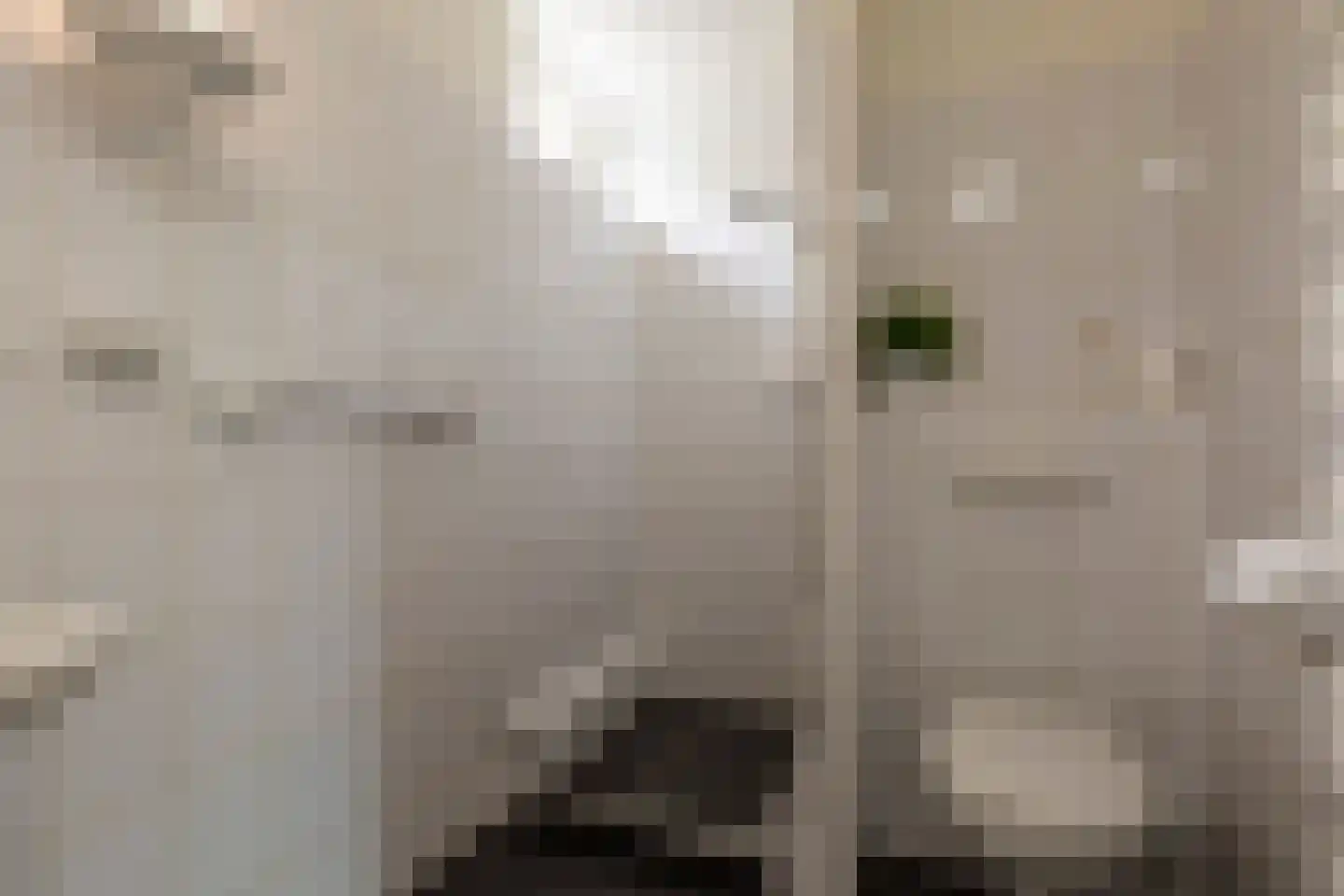 Adriaan van Ostadestraat 17 Tiel thumbnail 36
