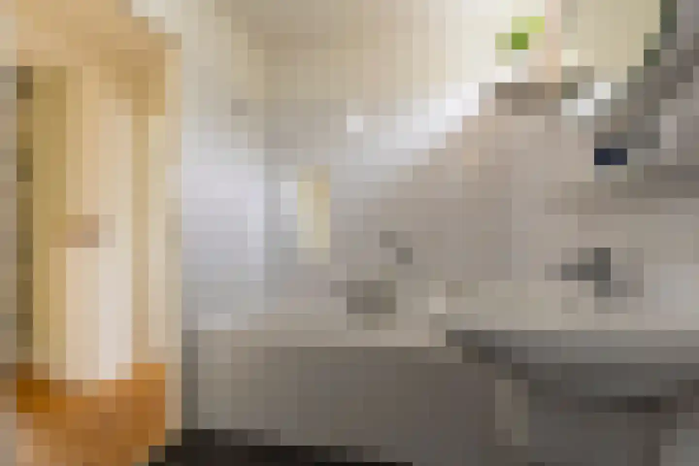 Adriaan van Ostadestraat 17 Tiel thumbnail 37