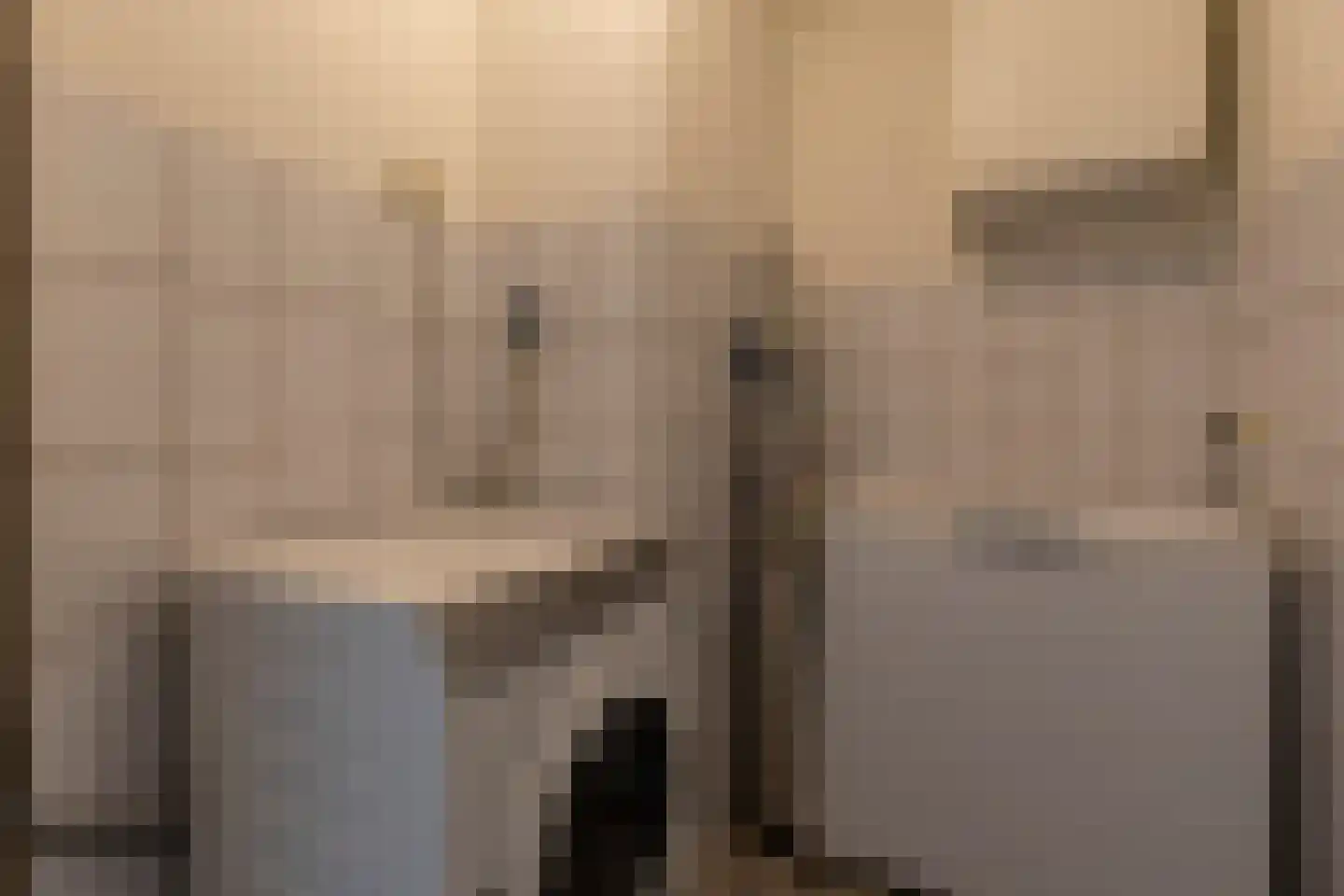 Adriaan van Ostadestraat 17 Tiel thumbnail 39