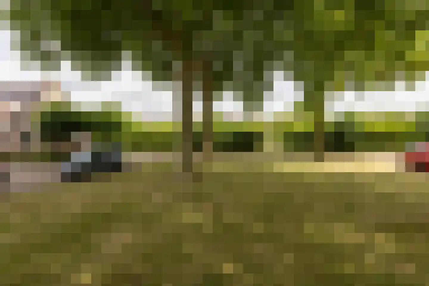 Adriaan van Ostadestraat 17 Tiel thumbnail 4