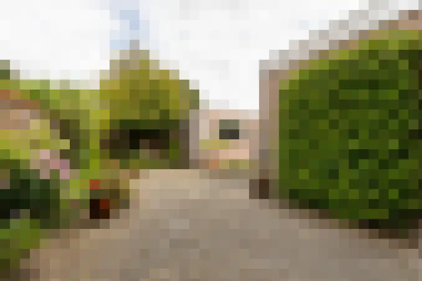 Adriaan van Ostadestraat 17 Tiel thumbnail 41