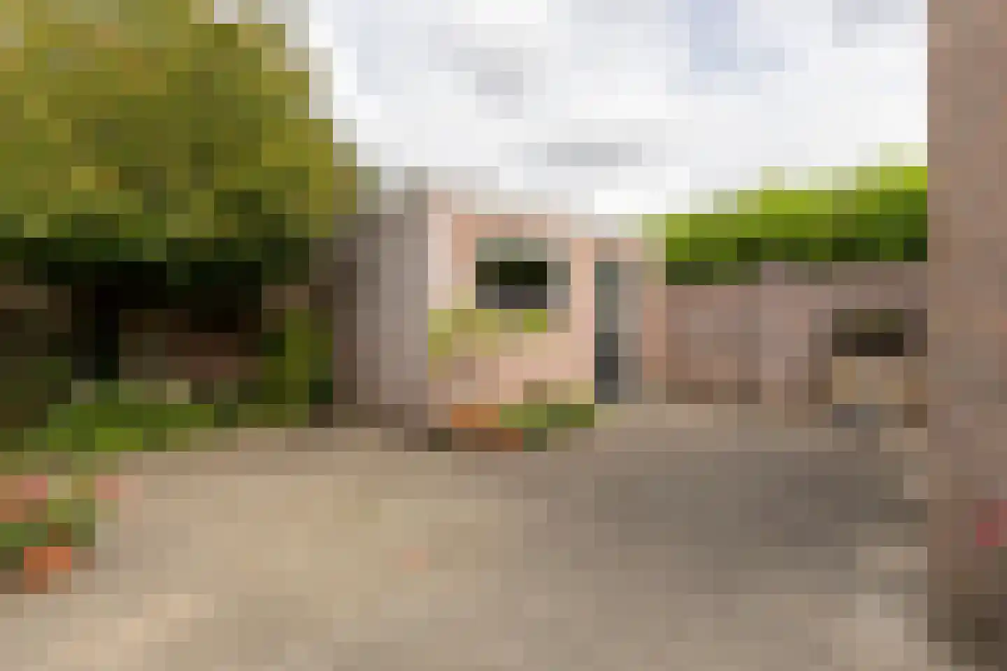 Adriaan van Ostadestraat 17 Tiel thumbnail 42