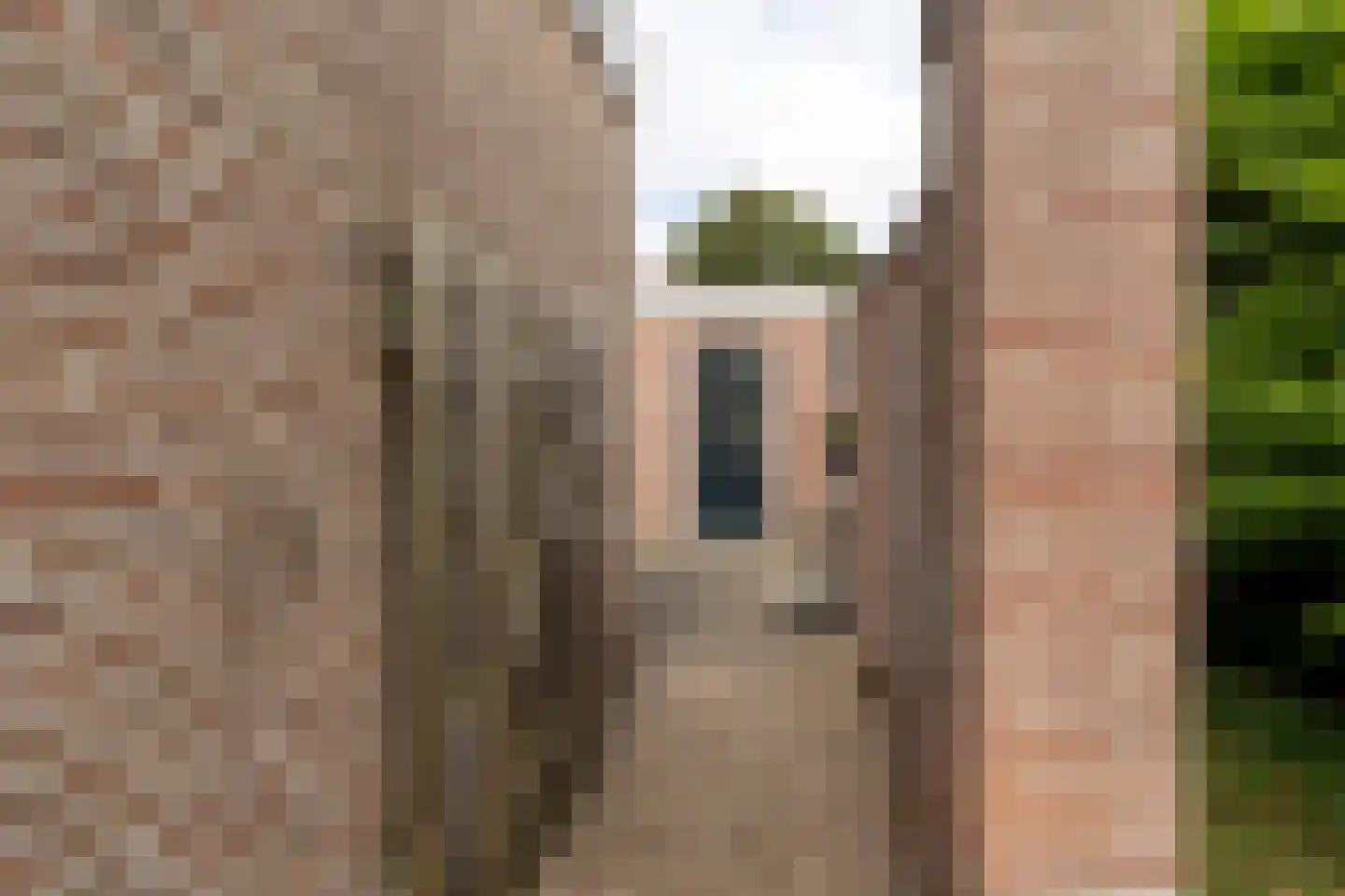 Adriaan van Ostadestraat 17 Tiel thumbnail 46