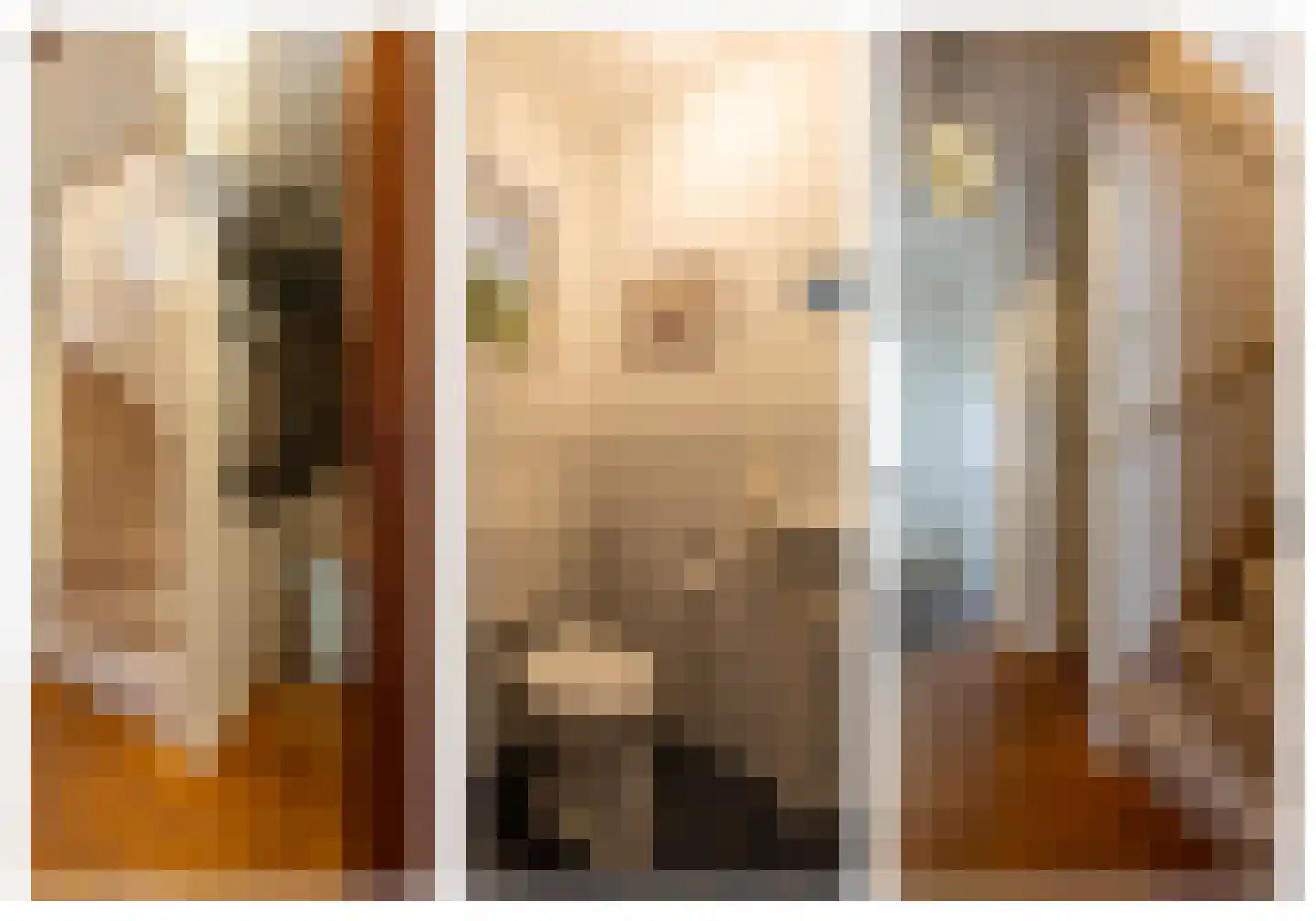 Adriaan van Ostadestraat 17 Tiel thumbnail 47