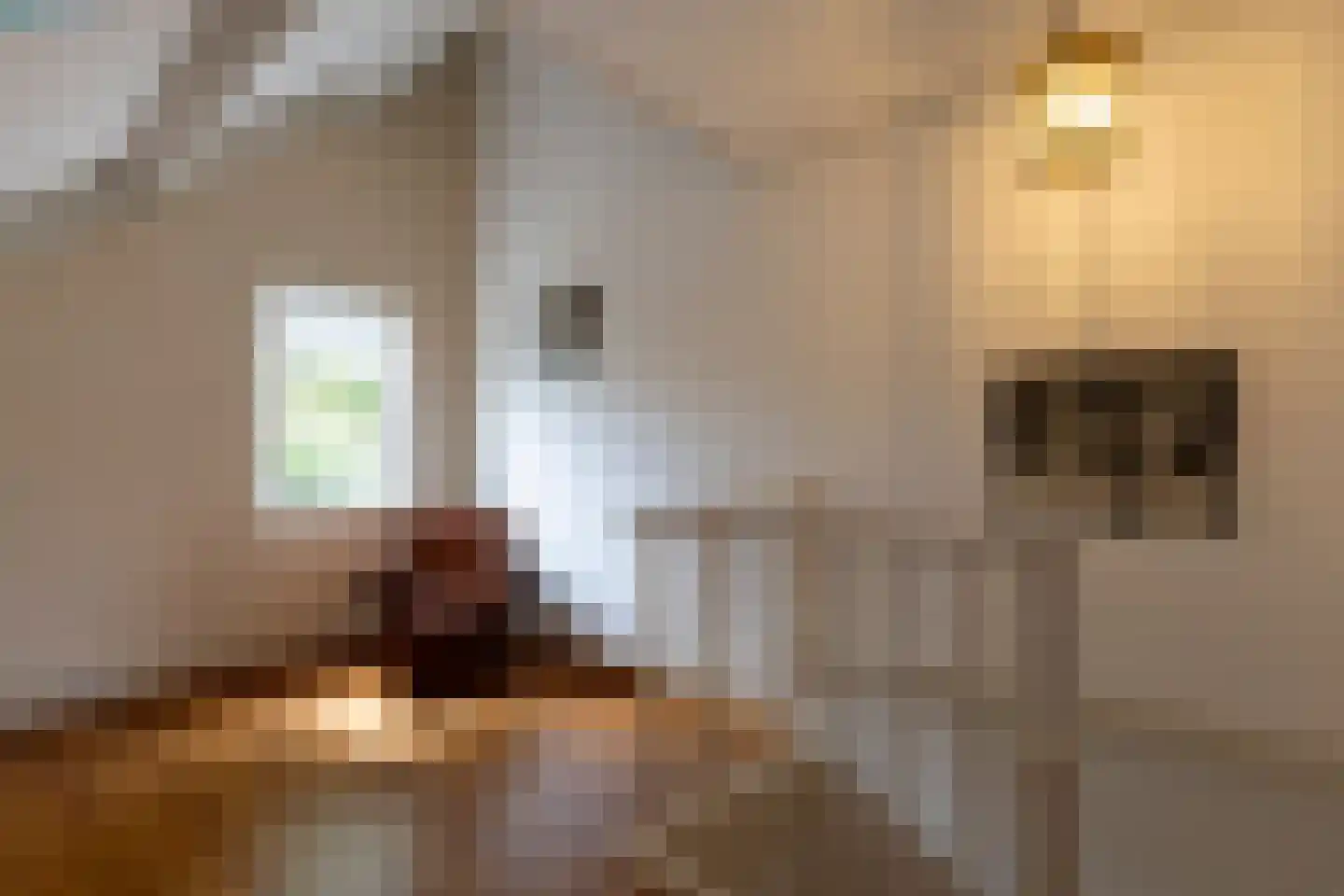 Adriaan van Ostadestraat 17 Tiel thumbnail 48
