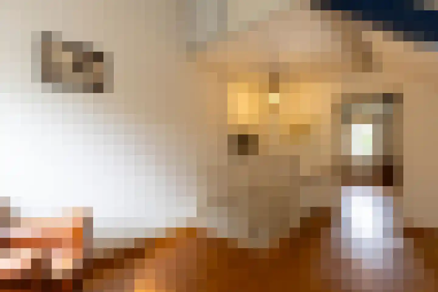 Adriaan van Ostadestraat 17 Tiel thumbnail 49