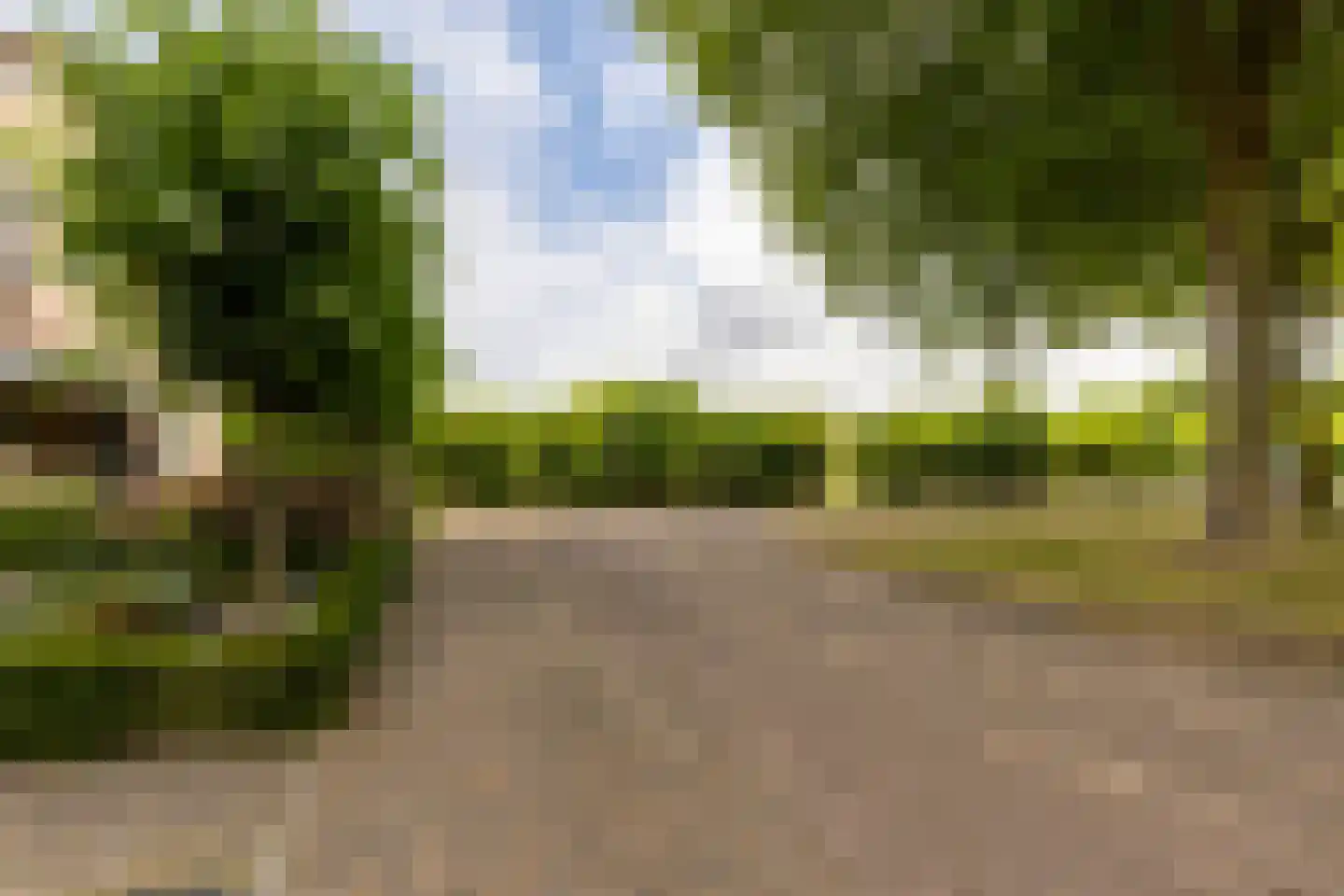 Adriaan van Ostadestraat 17 Tiel thumbnail 5