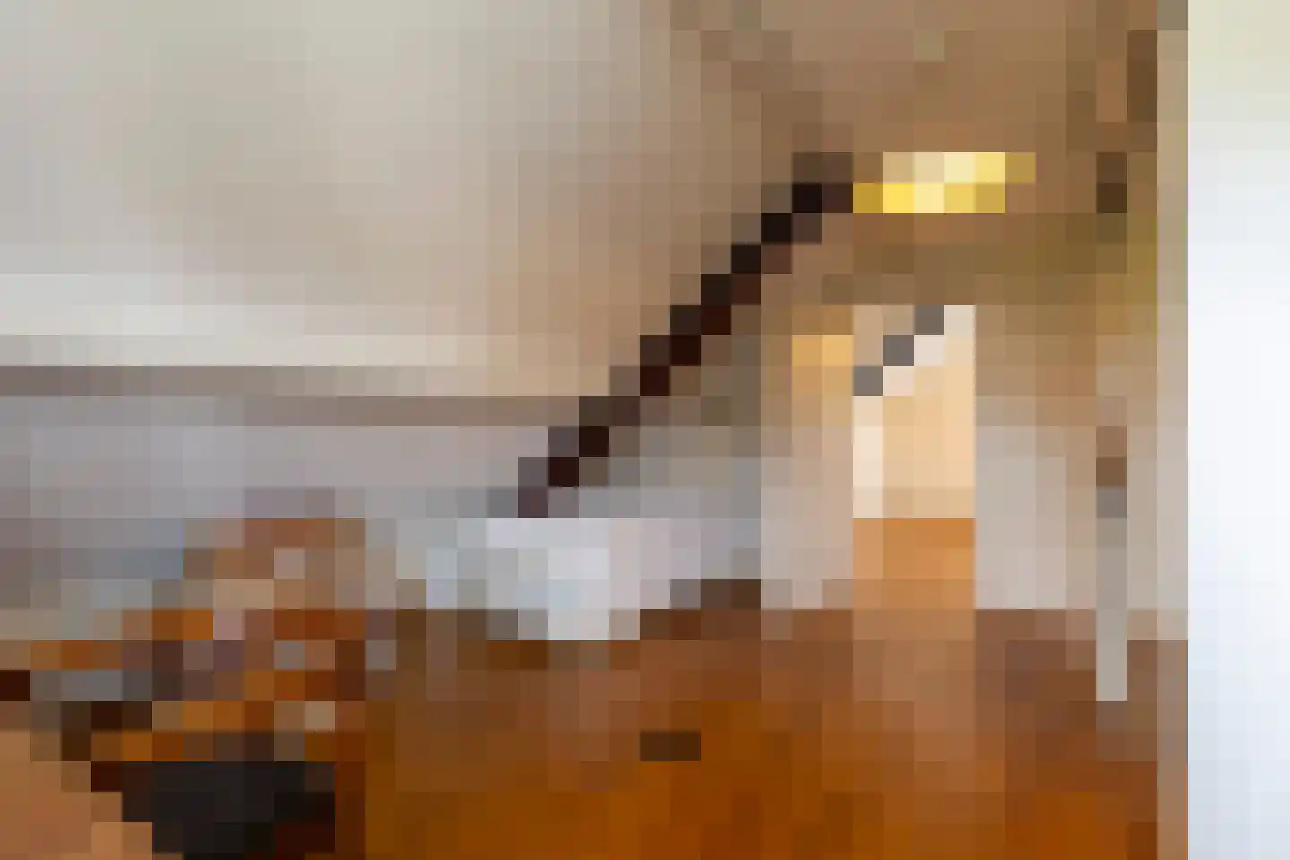 Adriaan van Ostadestraat 17 Tiel thumbnail 51