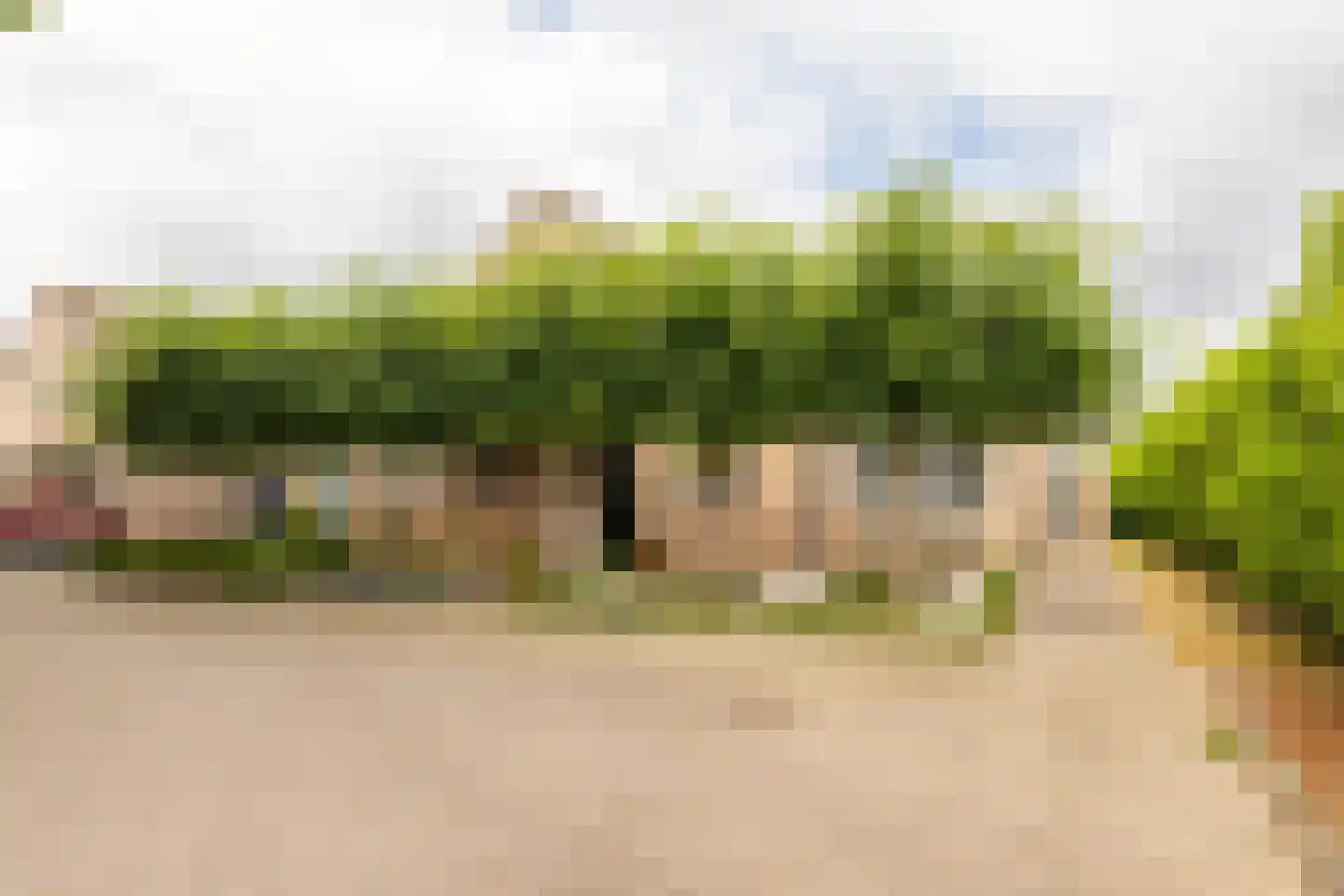 Adriaan van Ostadestraat 17 Tiel thumbnail 52