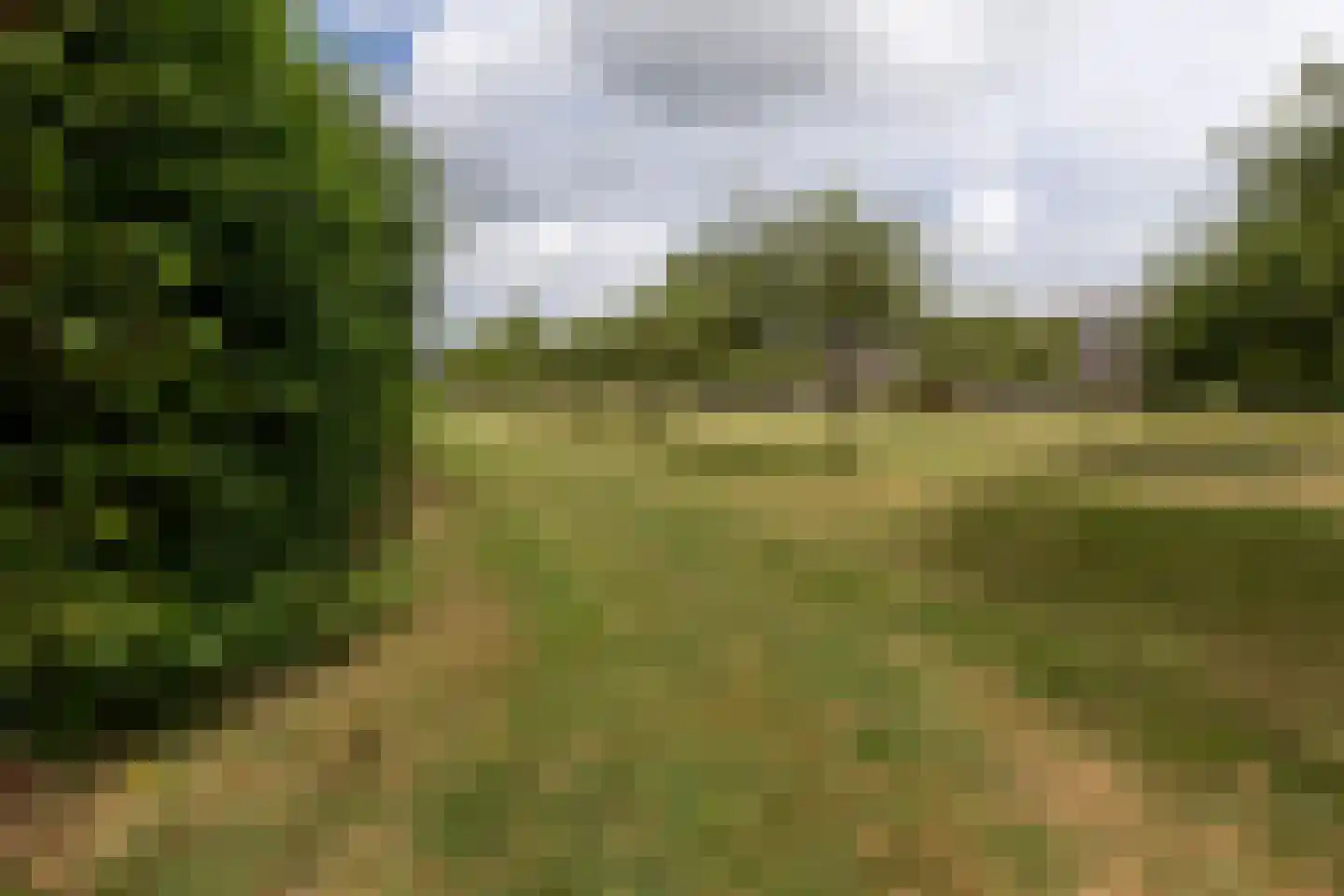 Adriaan van Ostadestraat 17 Tiel thumbnail 6