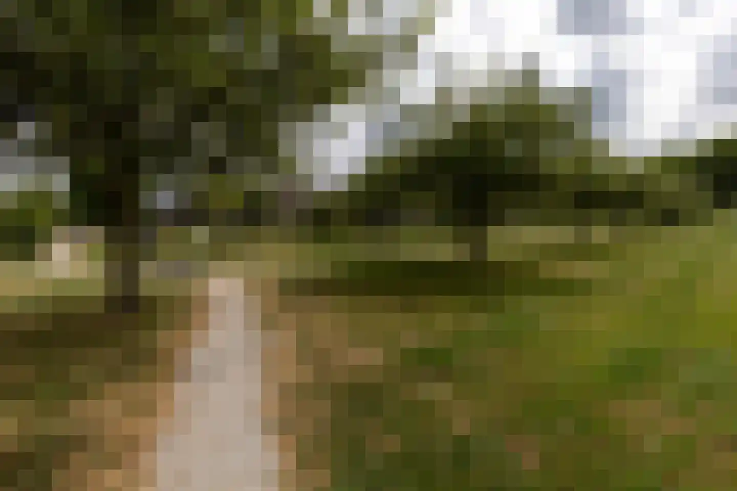 Adriaan van Ostadestraat 17 Tiel thumbnail 7