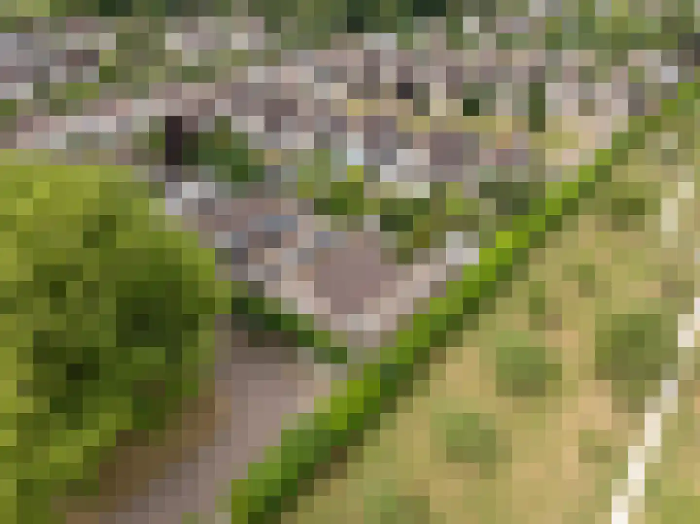 Adriaan van Ostadestraat 17 Tiel thumbnail 8