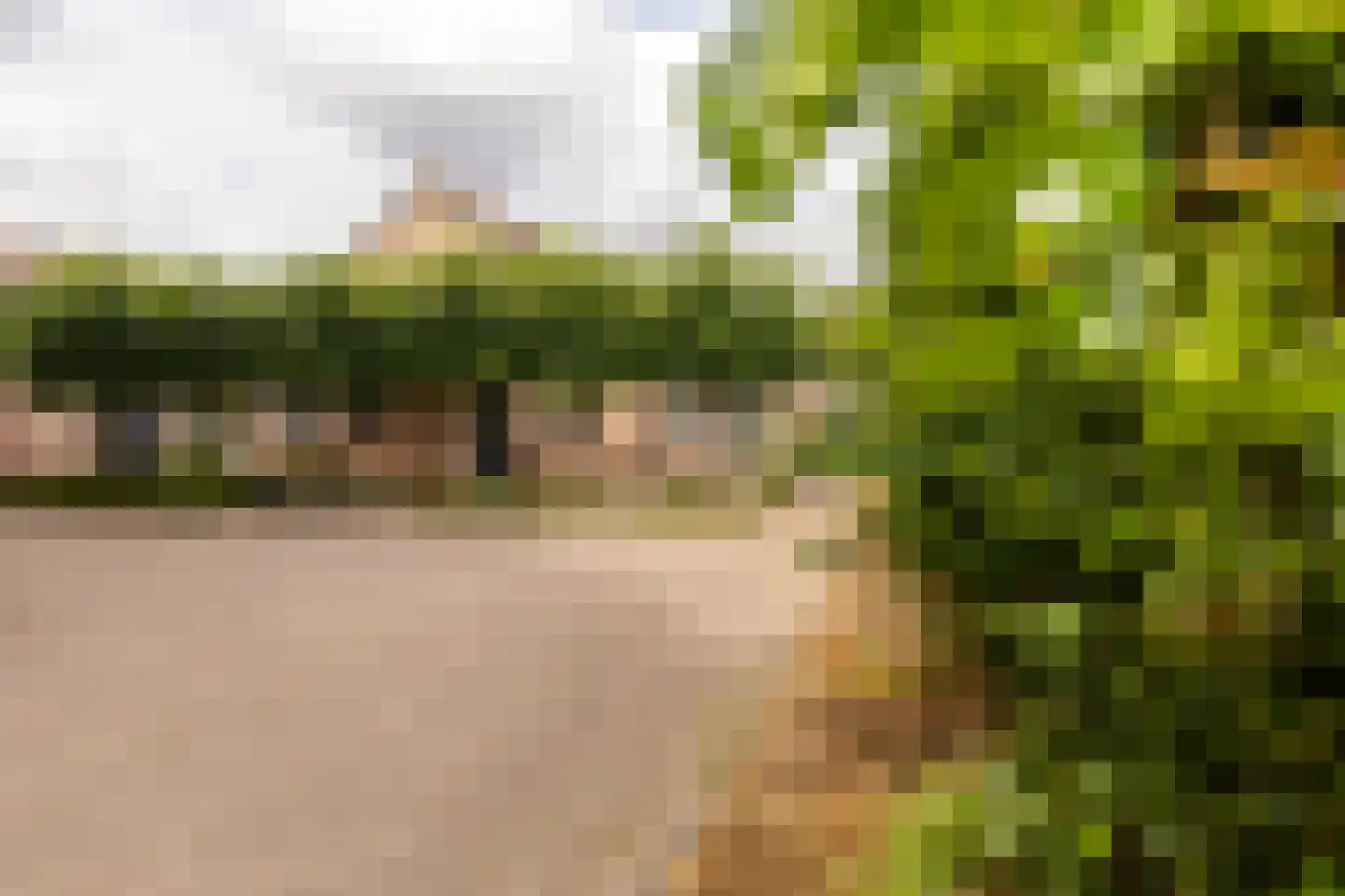 Adriaan van Ostadestraat 17 Tiel thumbnail 9