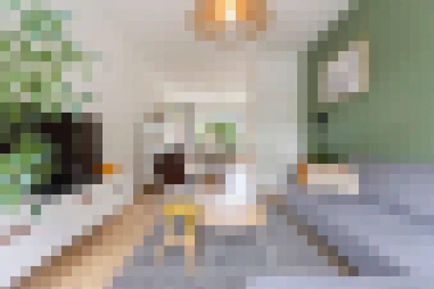 Adriaan van Ostadestraat 171 Groningen thumbnail 16