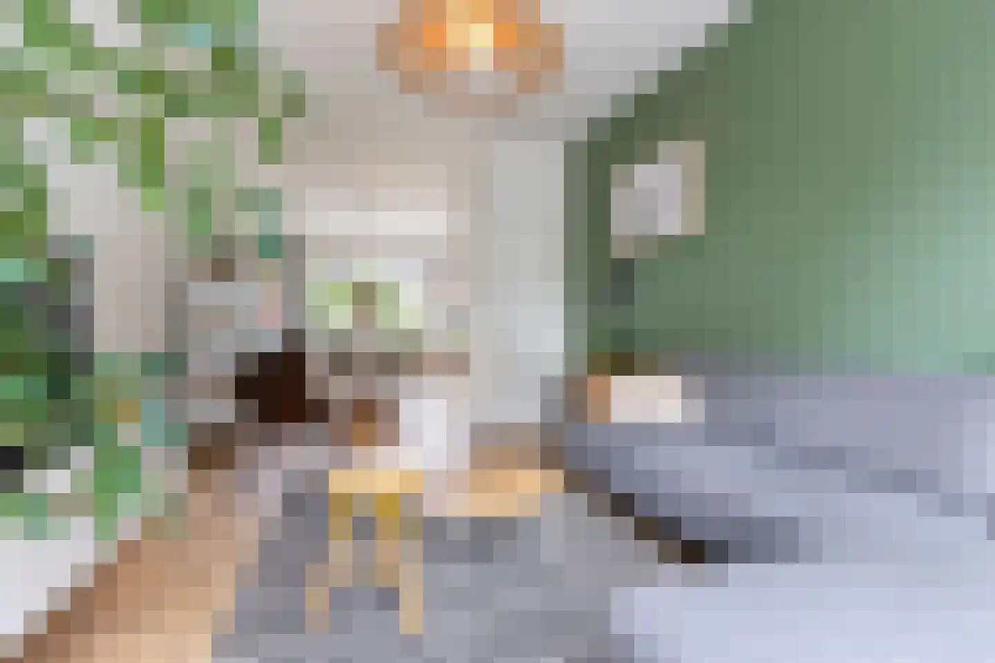 Adriaan van Ostadestraat 171 Groningen thumbnail 17
