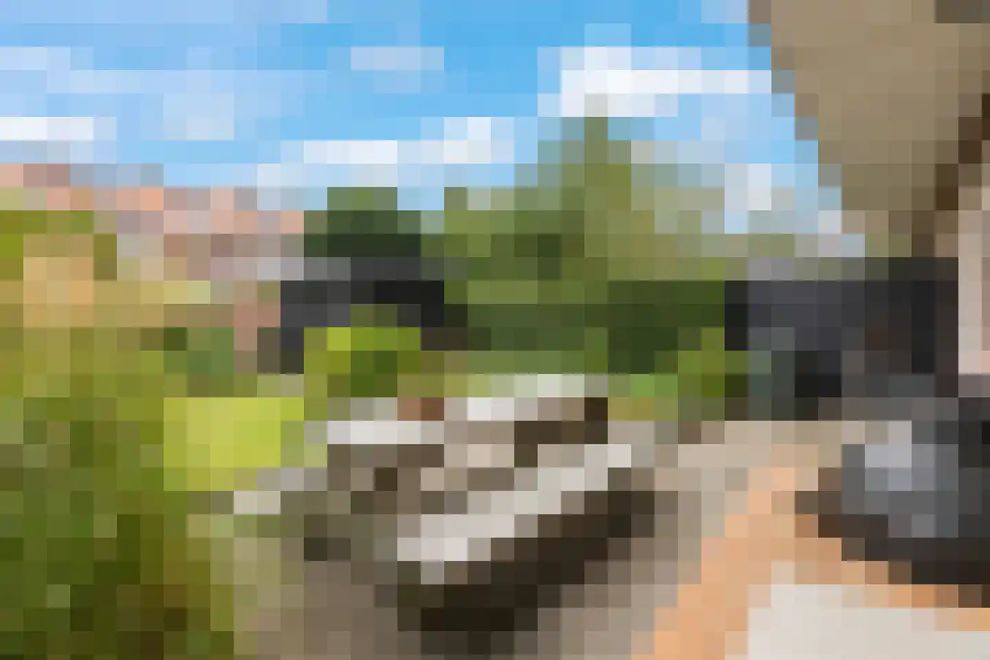 Adriaan van Ostadestraat 171 Groningen thumbnail 32