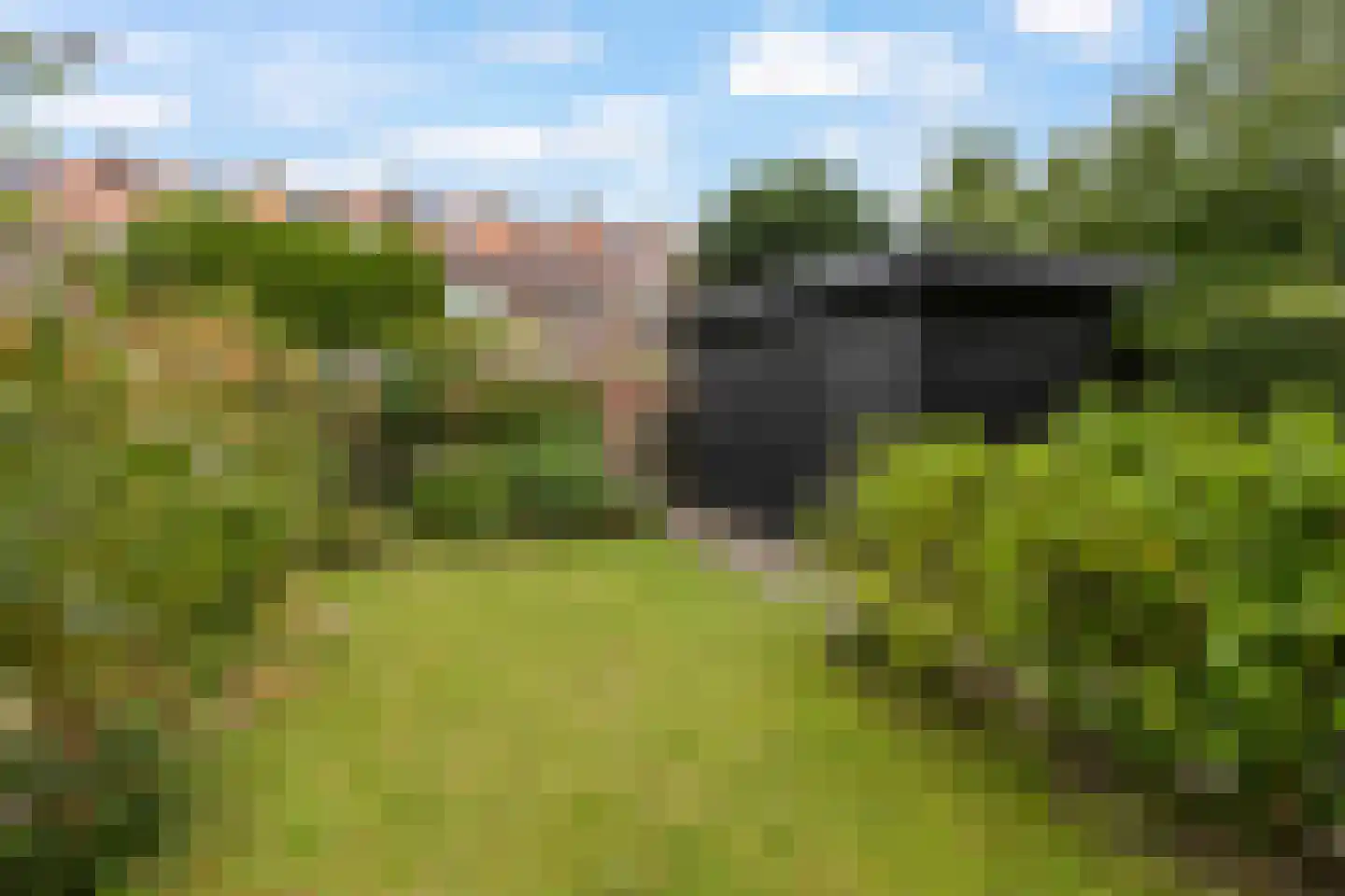 Adriaan van Ostadestraat 171 Groningen thumbnail 35