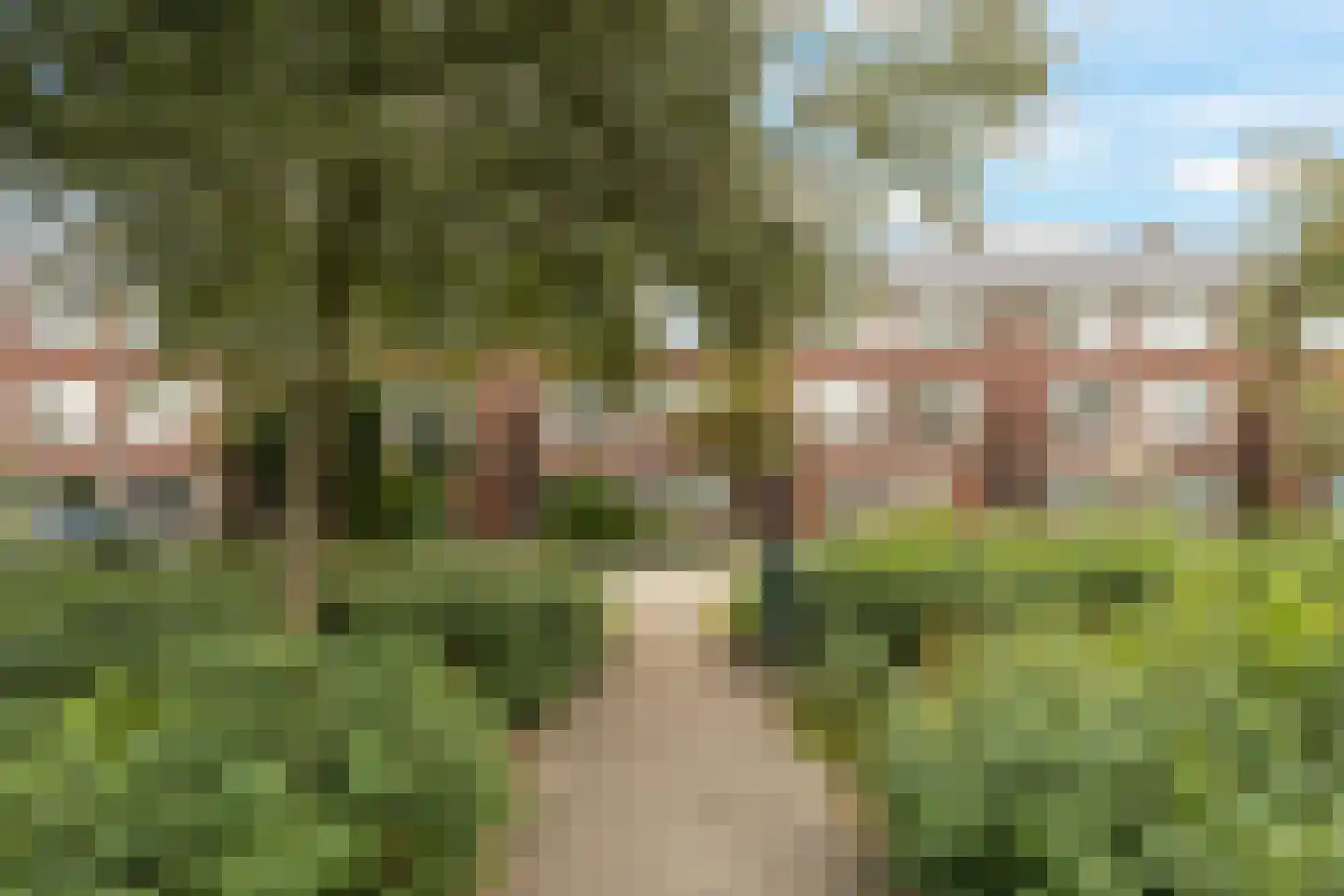 Adriaan van Ostadestraat 171 Groningen thumbnail 40