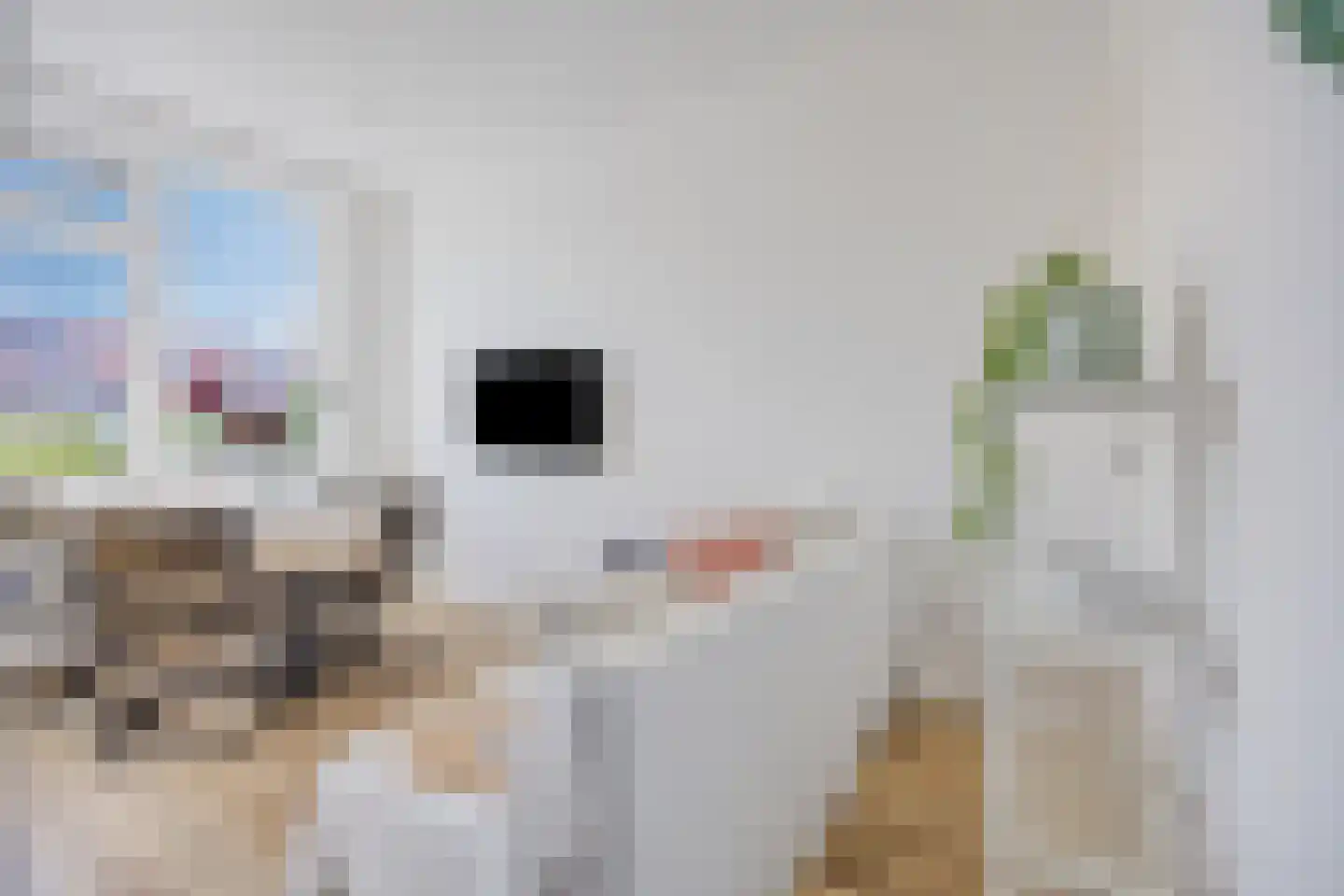 Adriaan van Ostadestraat 177 Groningen thumbnail 11