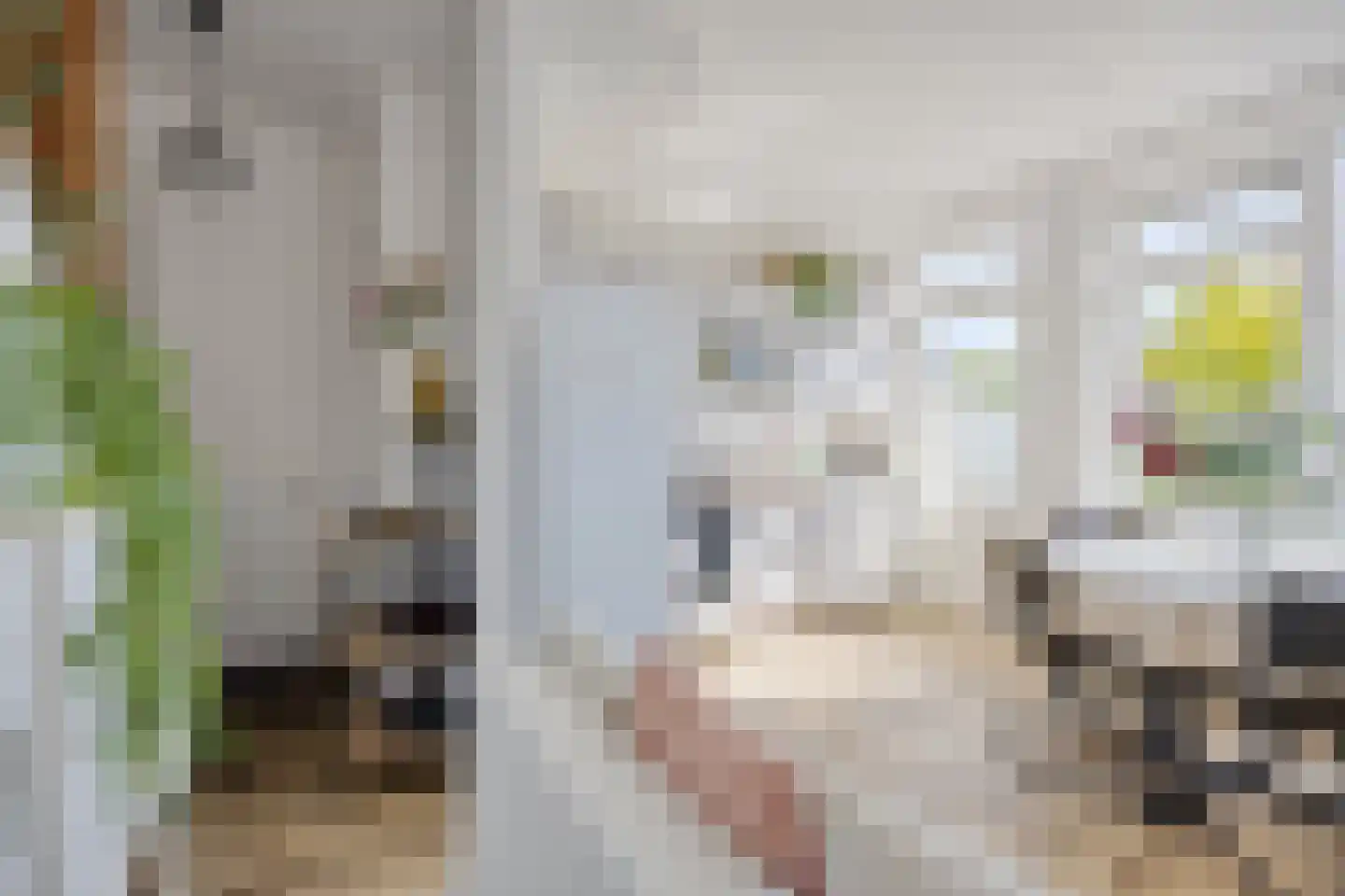 Adriaan van Ostadestraat 177 Groningen thumbnail 12